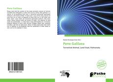 Bookcover of Pene Galilaea