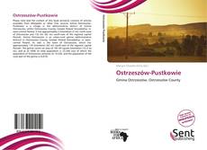 Capa do livro de Ostrzeszów-Pustkowie 