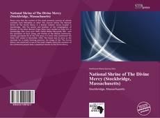Bookcover of National Shrine of The Divine Mercy (Stockbridge, Massachusetts)