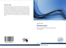Bookcover of Penescosta