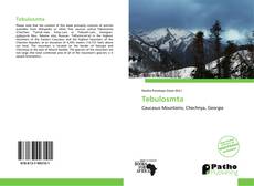 Bookcover of Tebulosmta