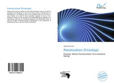 Buchcover von Penetration (Firestop)