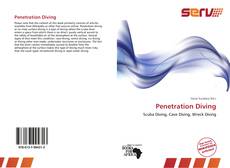Bookcover of Penetration Diving