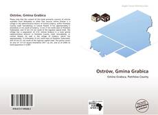 Capa do livro de Ostrów, Gmina Grabica 