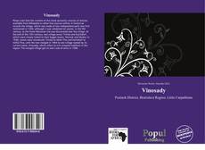 Capa do livro de Vinosady 