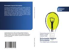 Buchcover von Schumpeter beyond Schumpeter