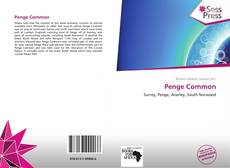 Bookcover of Penge Common