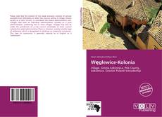 Capa do livro de Węglewice-Kolonia 