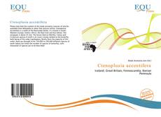 Ctenoplusia accentifera的封面