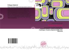 Buchcover von Fellype Gabriel