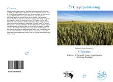 Обложка Clypeus