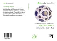 Bookcover of Julio César Manzur
