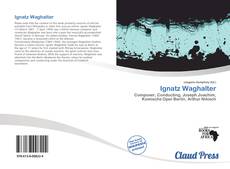 Bookcover of Ignatz Waghalter