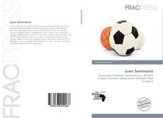 Juan Seminario的封面