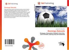 Buchcover von Domingo Salcedo