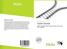 Buchcover von Carlin Tunnel