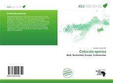 Catocala sponsa kitap kapağı