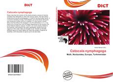 Couverture de Catocala nymphagoga