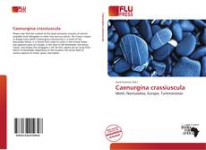 Caenurgina crassiuscula的封面