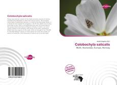 Portada del libro de Colobochyla salicalis