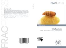 Copertina di Idia lubricalis