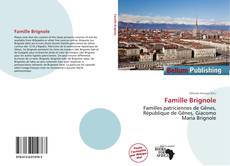 Portada del libro de Famille Brignole