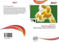 Buchcover von Alucita pygmaea