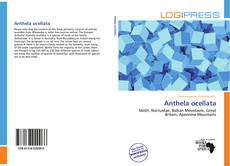 Borítókép a  Anthela ocellata - hoz