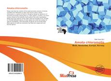 Couverture de Amata chlorometis