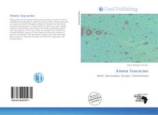 Portada del libro de Amata leucacma