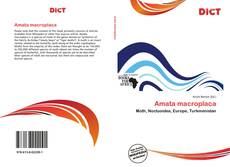 Buchcover von Amata macroplaca