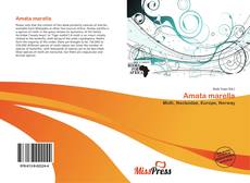 Couverture de Amata marella