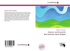 Portada del libro de Amata melitospila