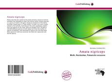 Capa do livro de Amata nigriceps 