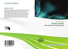 Bookcover of Amata olinda