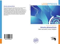 Borítókép a  Amata phaeochyta - hoz