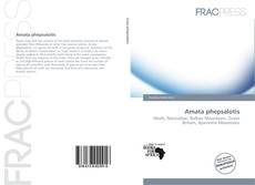 Copertina di Amata phepsalotis
