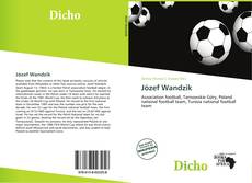 Buchcover von Józef Wandzik