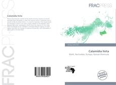 Copertina di Calamidia hirta