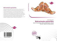 Обложка Batrachedra epixantha