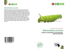 Portada del libro de Batrachedra eurema