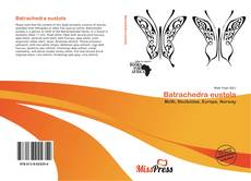 Bookcover of Batrachedra eustola