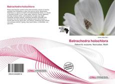Bookcover of Batrachedra holochlora