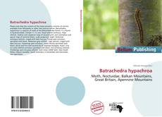Portada del libro de Batrachedra hypachroa