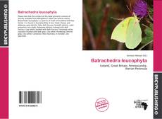 Buchcover von Batrachedra leucophyta