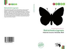 Portada del libro de Batrachedra lygropis
