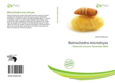 Bookcover of Batrachedra microdryas