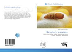 Batrachedra microtoma kitap kapağı