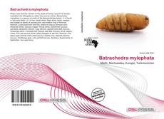 Couverture de Batrachedra mylephata