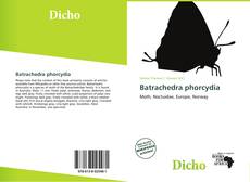 Buchcover von Batrachedra phorcydia